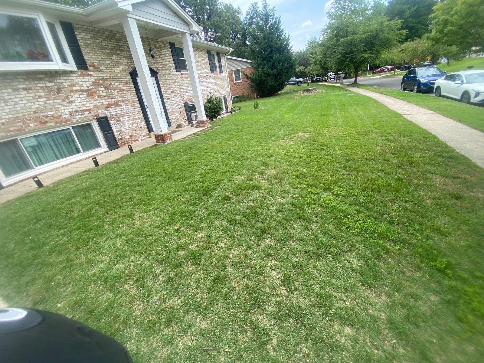 Outdoor lawn and landscape care
